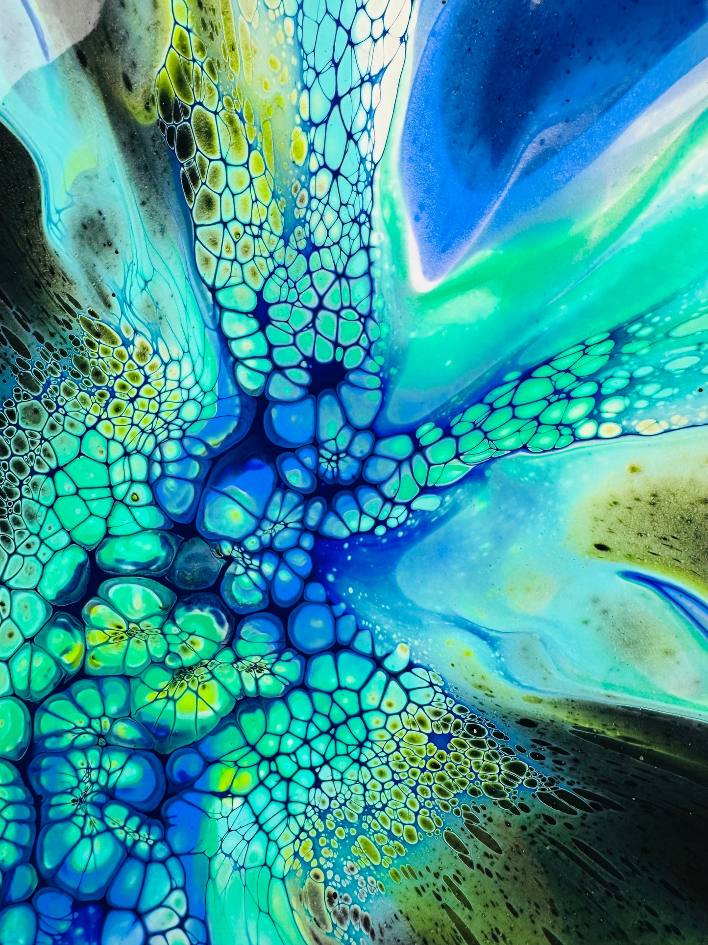 No Pillow No Varnish Fluid Art Blooms