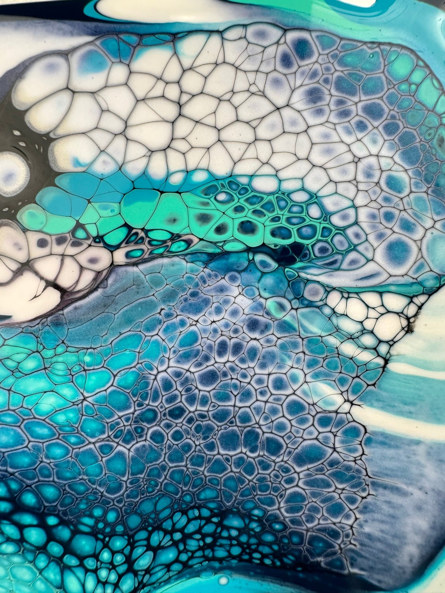 Aurora Borealis - Northern Lights Series
