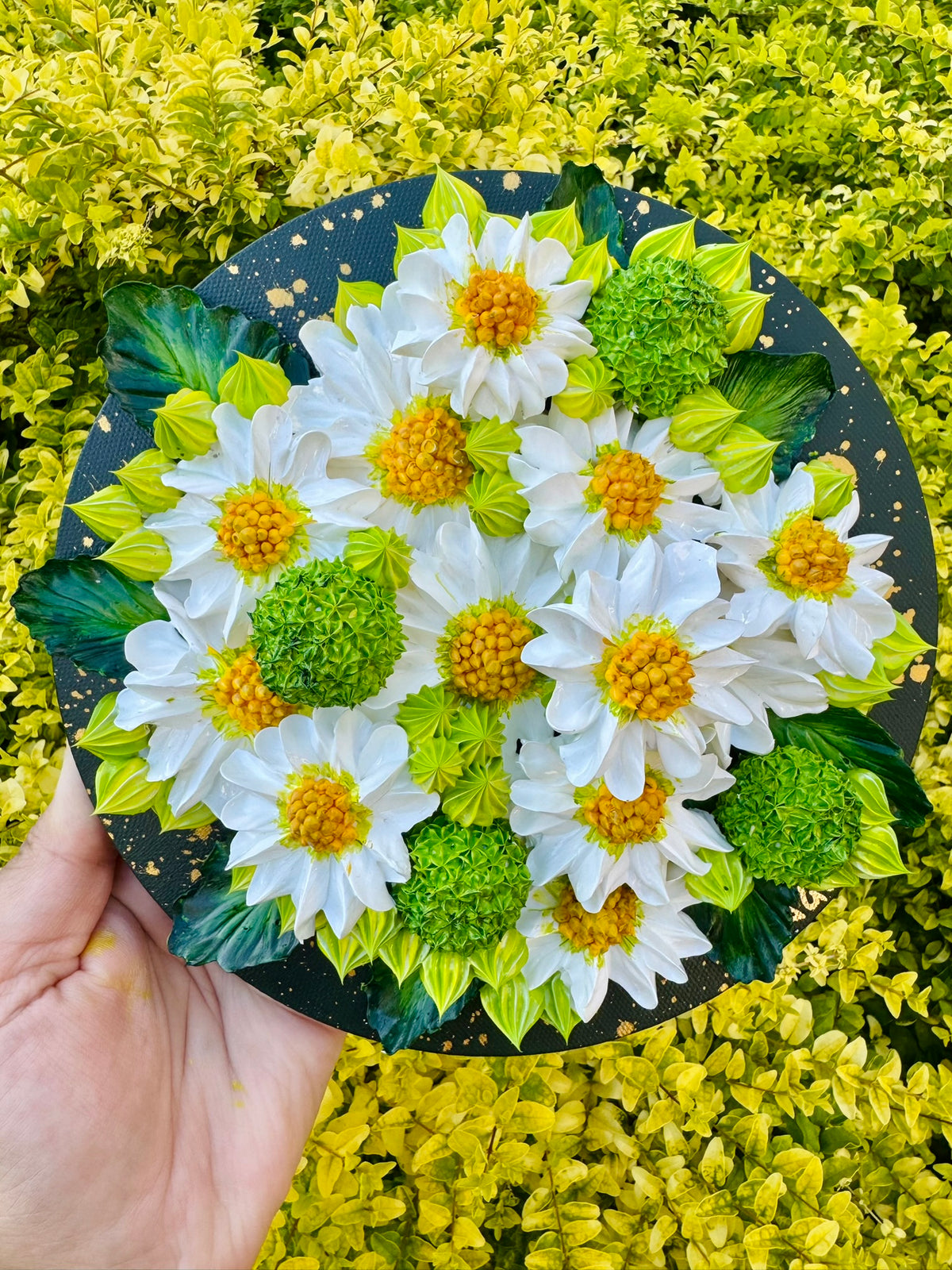 Pushing Daisies