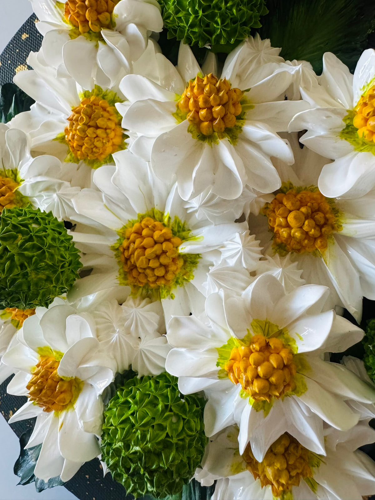 Pushing Daisies